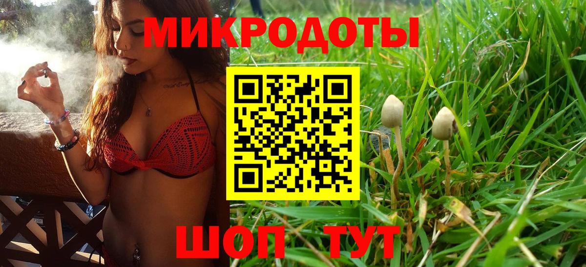 Псилоцибиновые грибы Magic Shrooms Дивногорск